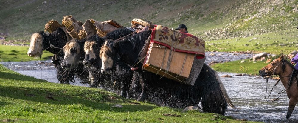 The Yak Festival: July - 10 Days / 9 Nights