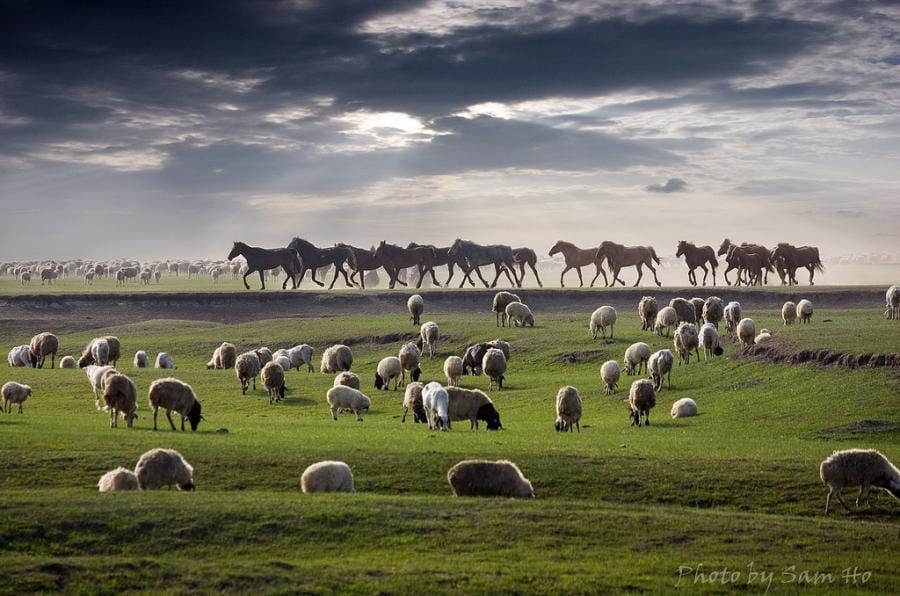 Discover Mongolia- 21 Days / 20 Nights