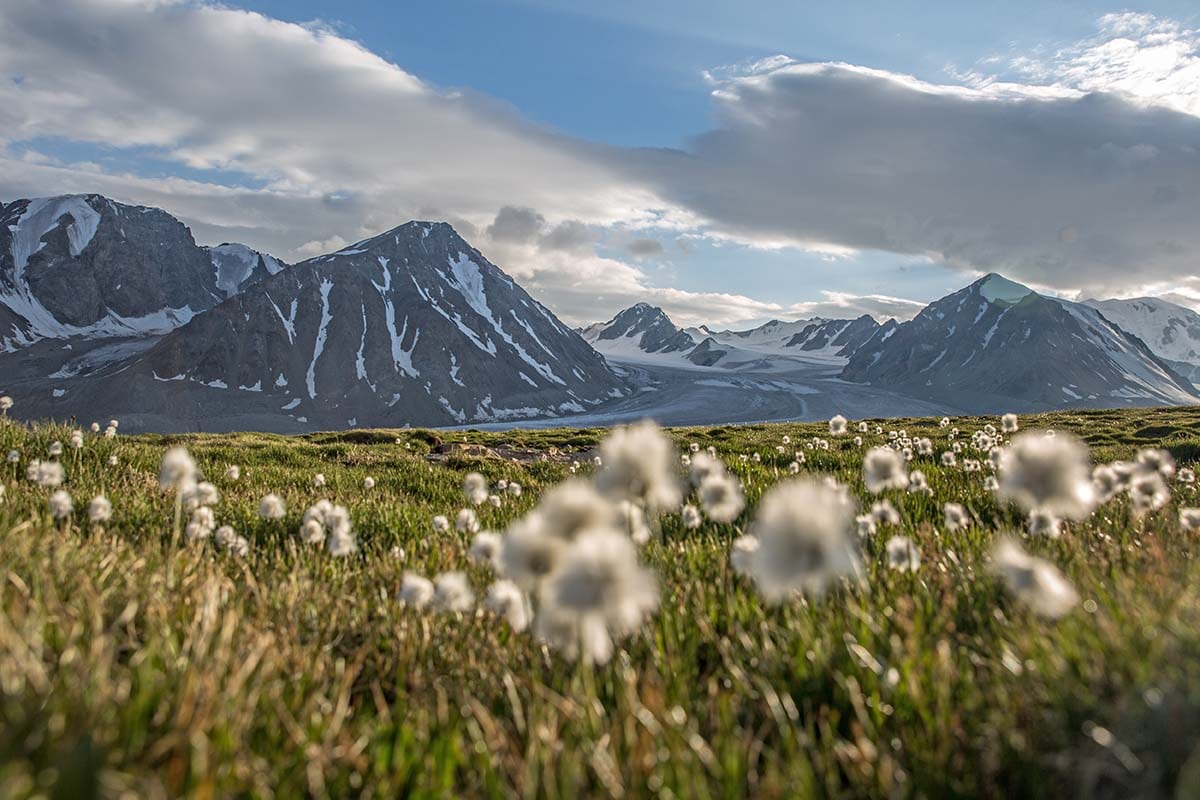 Western Mongolia Tour tour image