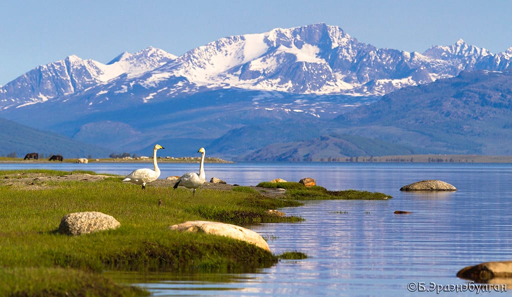Altai Tavan Bogd Trekking Tour
