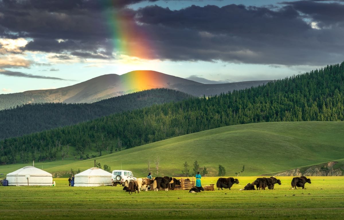 Central Mongolia - 10 Days / 9 Nights tour image