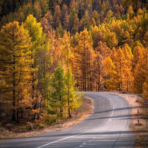 Central Mongolia in Autumn