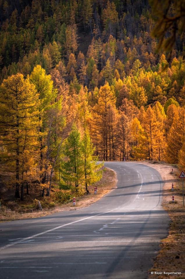 Central Mongolia in Autumn tour image
