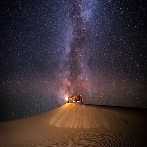 Golden Gobi Dreams 8 Days 7 Nights