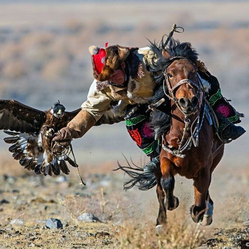Naadam Festival