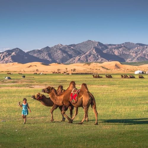 Horseback Riding Tour