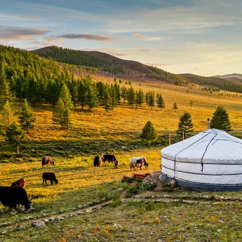 Timeless Mongolia Lakes & Grasslands