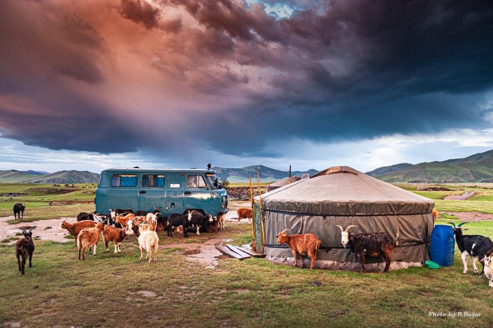 MONGOLIAN HORIZONS: A Family Journey 10D9N