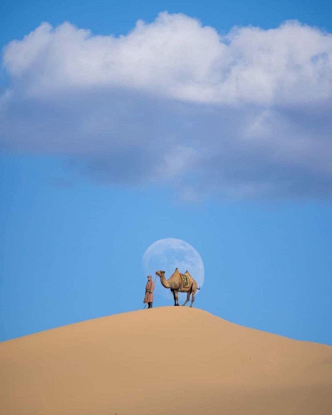 Mongolian Treasures - 12 Days / 11 Nights