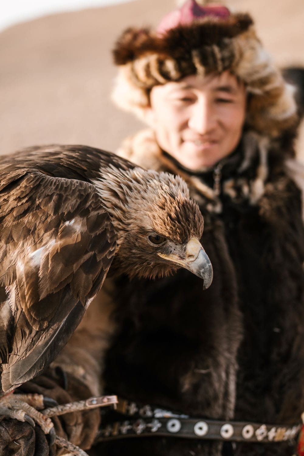 Golden Eagle Festival & Central Mongolia tour image
