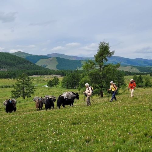 Trekking in Central Mongolia