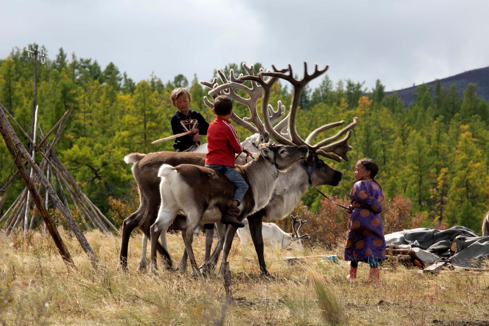 Wonders of July 12D11N - NAADAM FESTIVAL