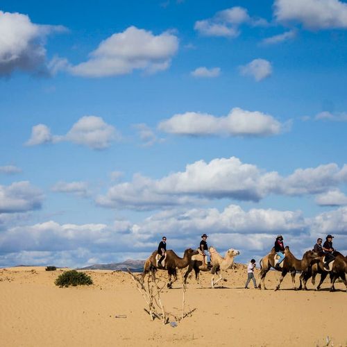 WELLNESS retreat at Grand Gobi