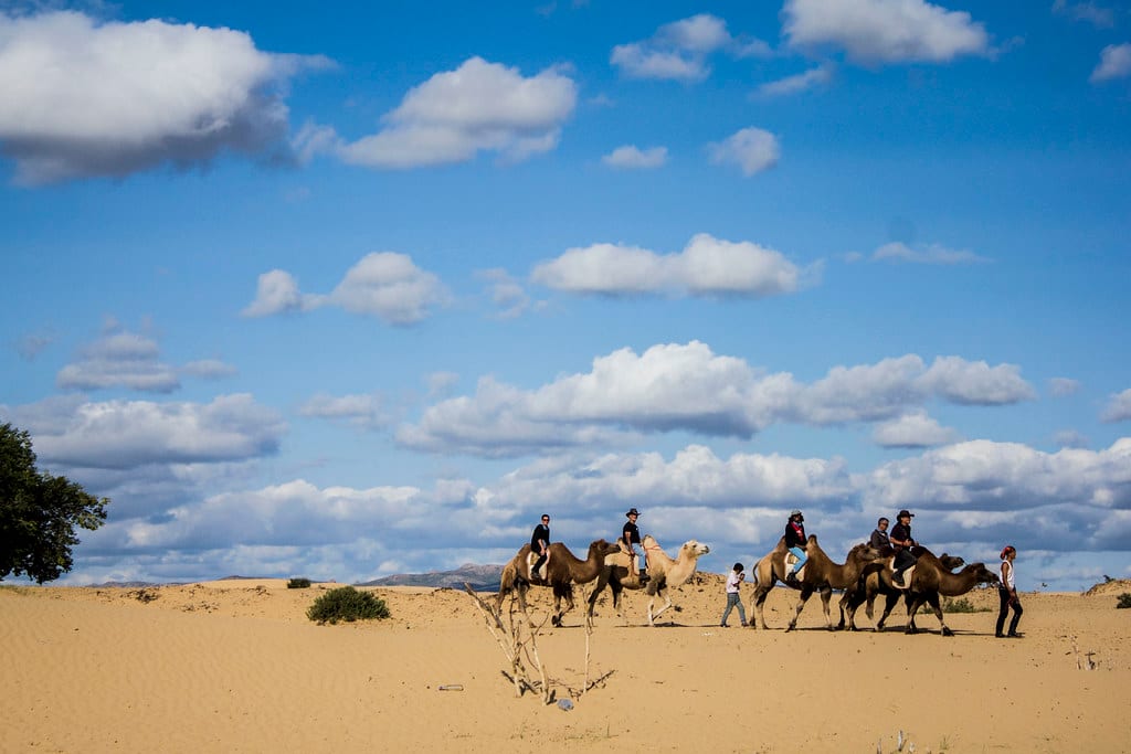 WELLNESS retreat at Grand Gobi tour image