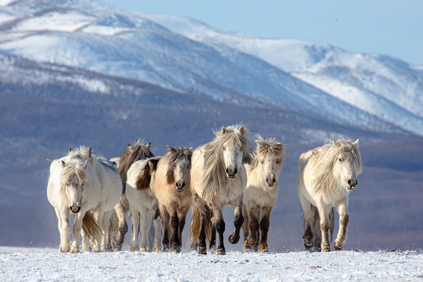 Winter Wonders & Ice Festival -8 Days / 7 Nights